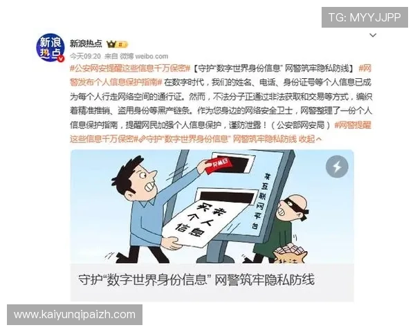 开云体育官网登录入口网页版安全性分析及保护个人信息的实用技巧