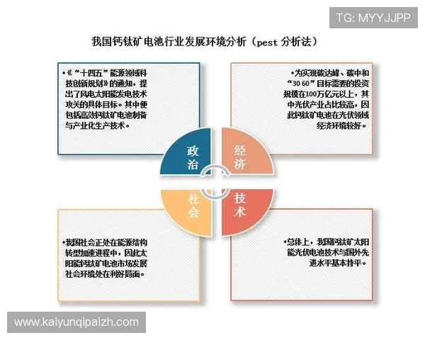 开云集团年度财务总结与股东回报情况详尽分析与投资建议